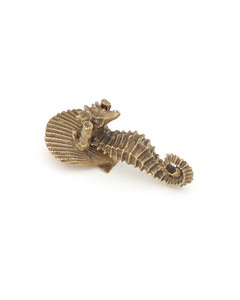 Nature Cabinet Knob, 1-1/4" x 1-1/2"